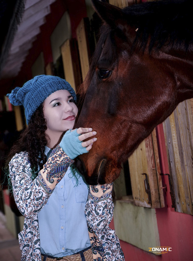 Equiland - foto 1