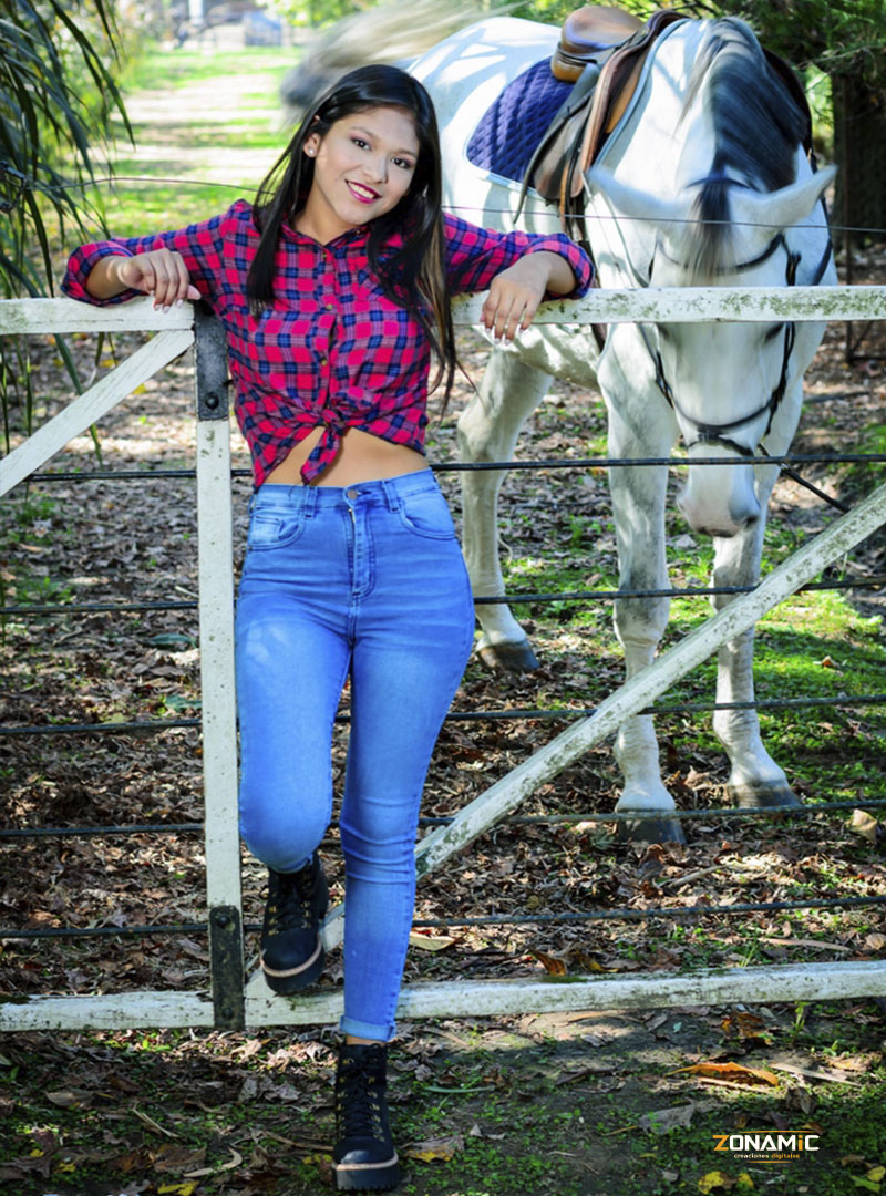 Equiland - foto 3