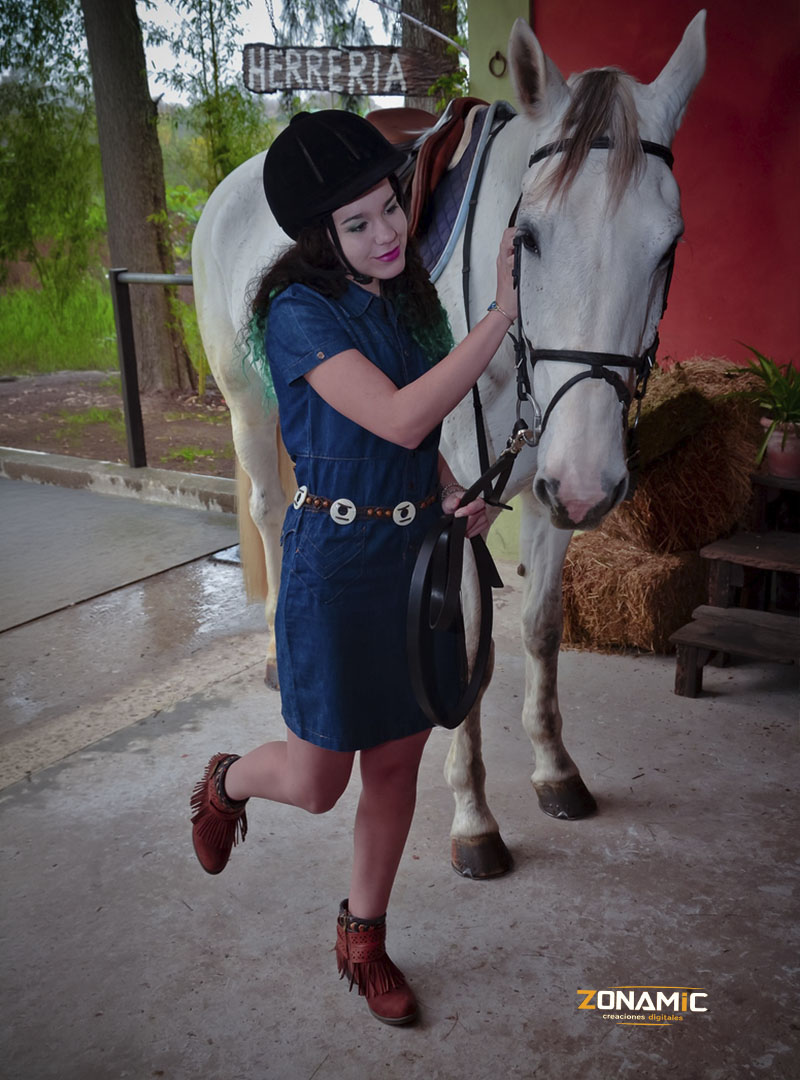 Equiland - foto 8