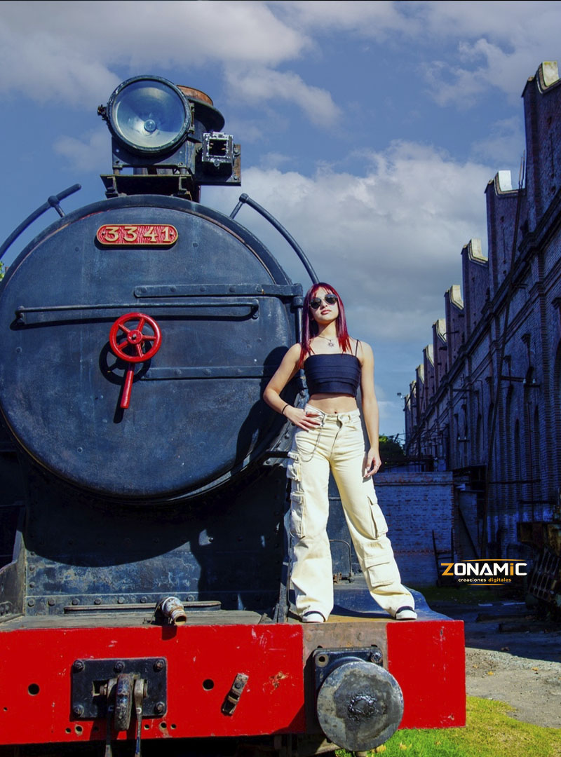 Museo Trenes - foto 7