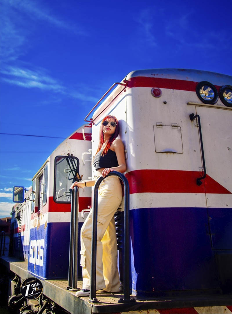 Museo Trenes - foto 12
